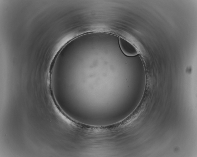 X0000097831095200803141140