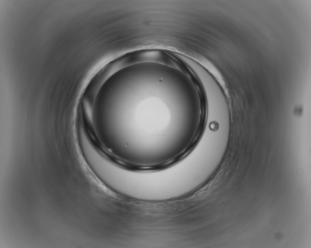 X0000097831096200803141140