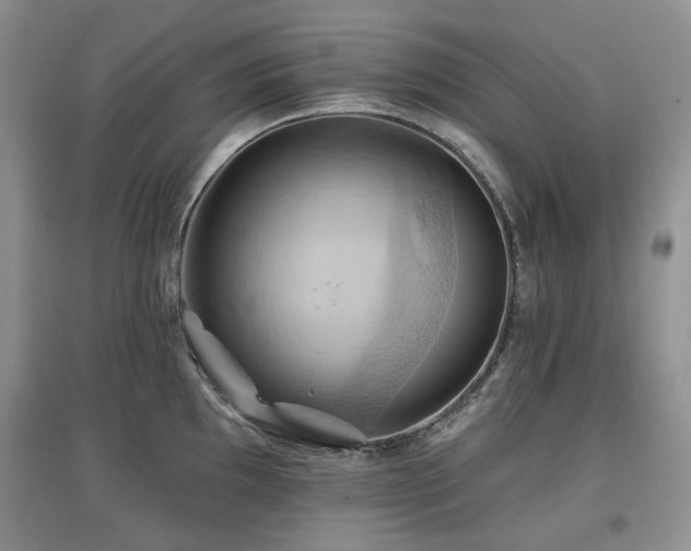 X0000097831097200803141140