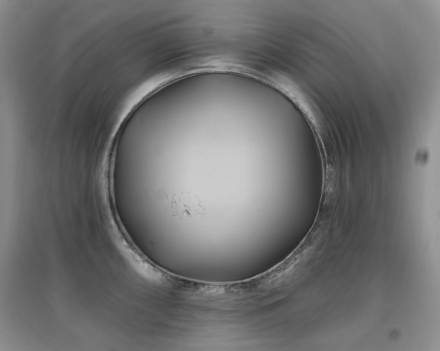 X0000097831098200803141140