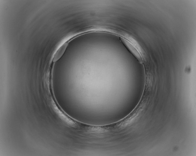 X0000097831100200803141139
