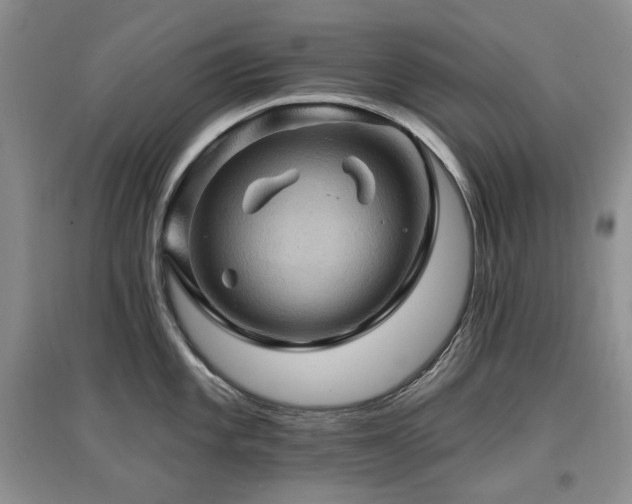 X0000097831101200803141139