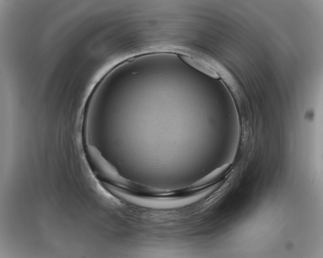 X0000097831102200803141139