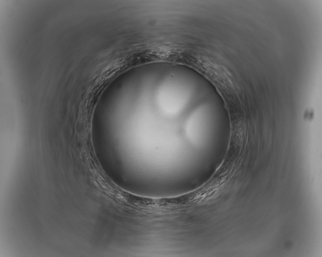 X0000097831105200803141139