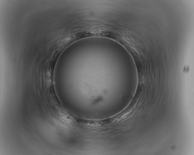 X0000097831106200803141139