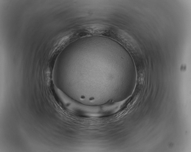 X0000097831108200803141139
