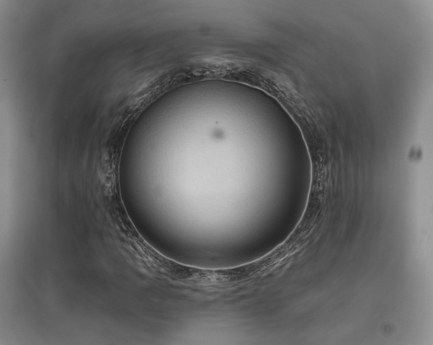 X0000097831109200803141139