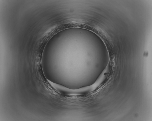 X0000097831110200803141139