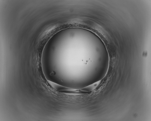 X0000097831111200803141139