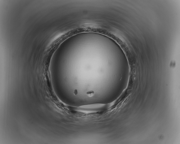 X0000097831112200803141139