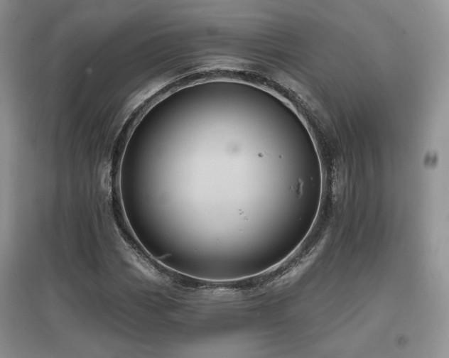 X0000097831113200803141139