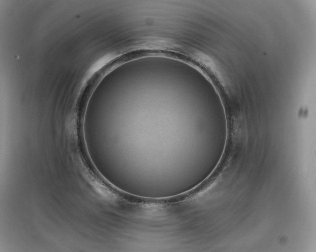 X0000097831114200803141139