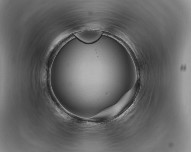 X0000097831115200803141139
