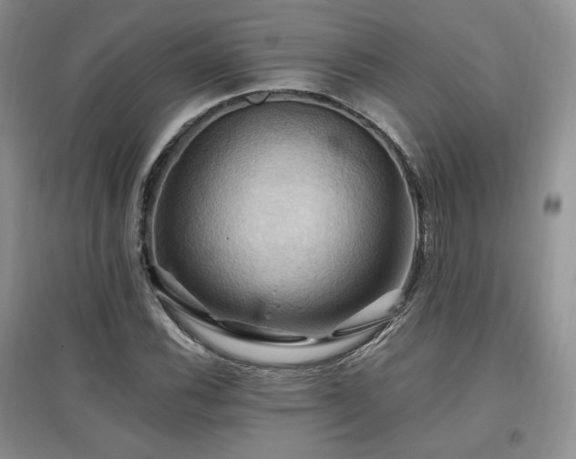 X0000097831116200803141139