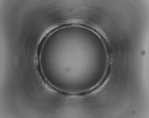 X0000097831117200803141139