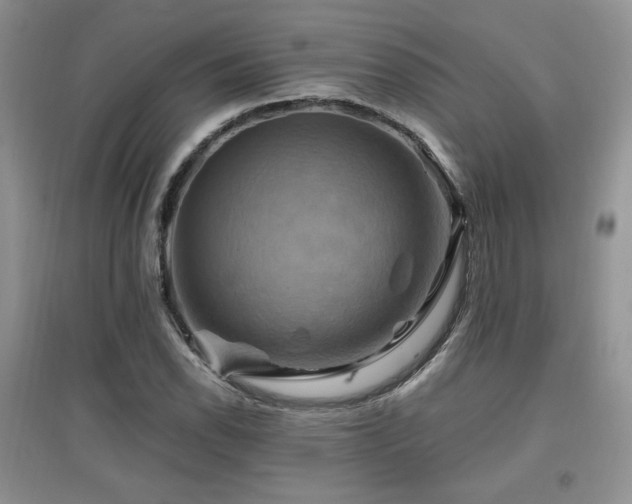 X0000097831118200803141139