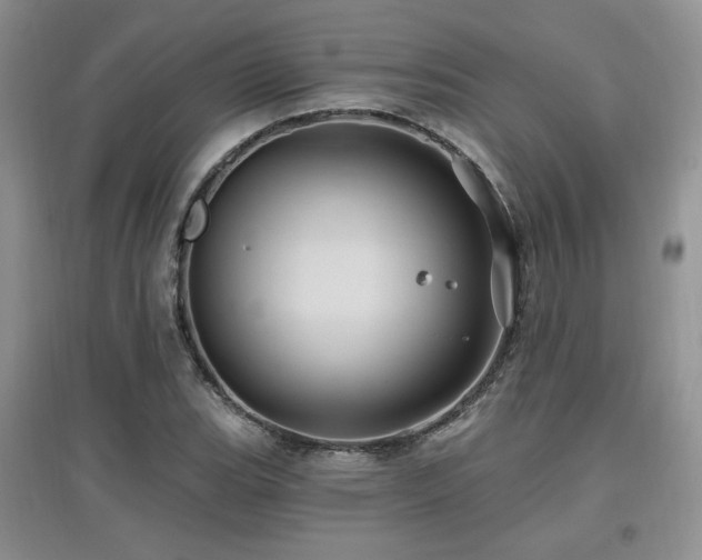 X0000097831119200803141139