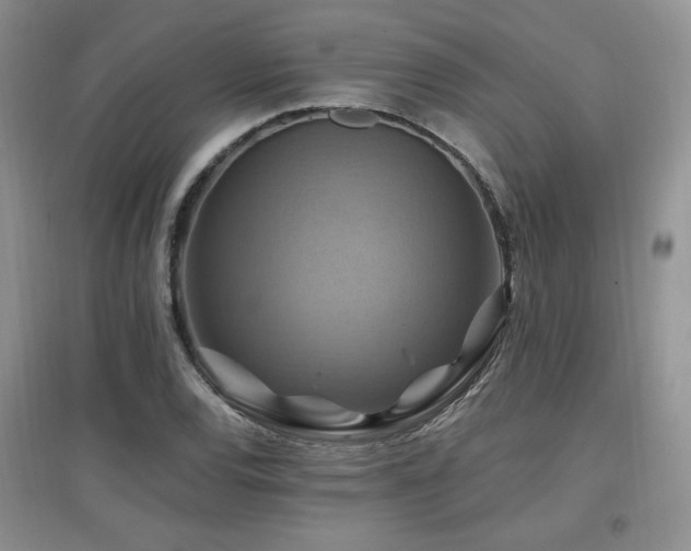 X0000097831120200803141139