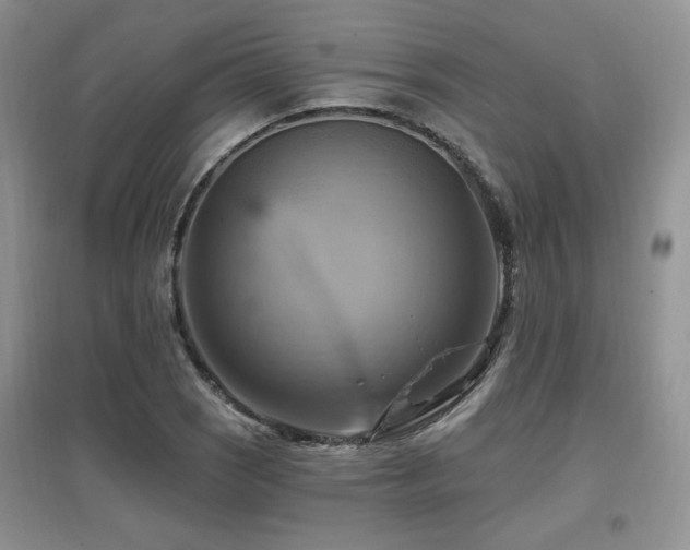 X0000097831121200803141139