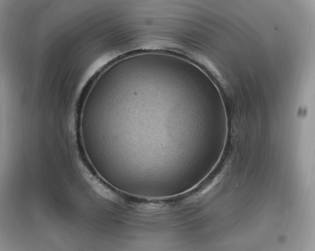 X0000097831122200803141139