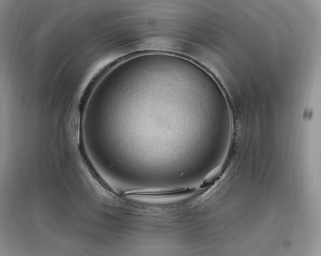 X0000097831123200803141139