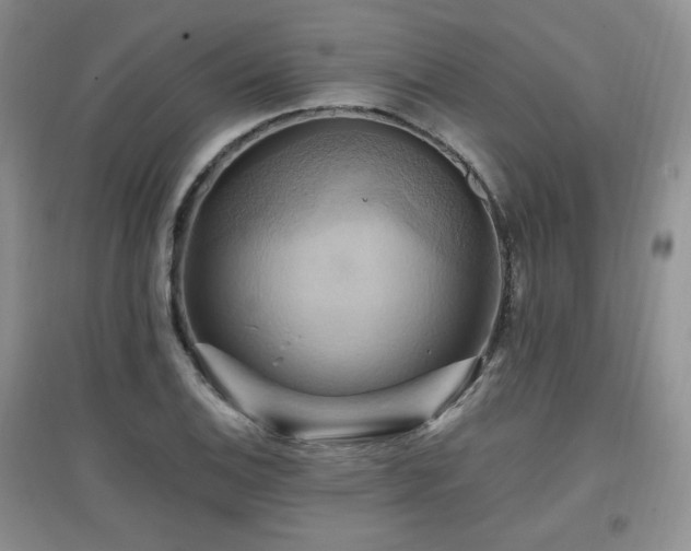 X0000097831124200803141139