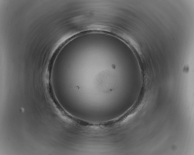X0000097831125200803141139
