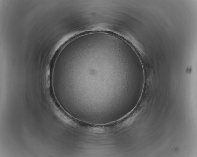 X0000097831126200803141139