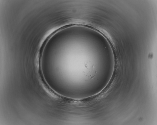 X0000097831128200803141139