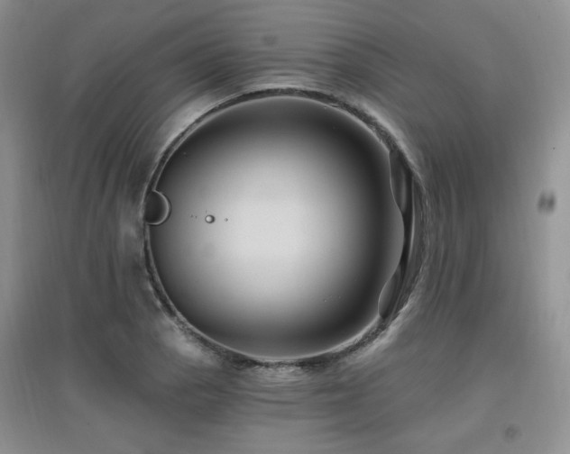 X0000097831129200803141139
