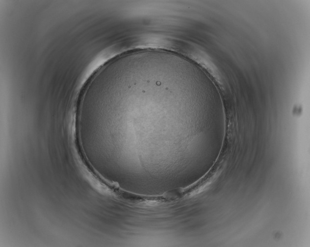 X0000097831130200803141139
