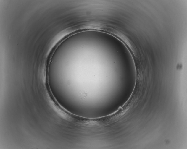 X0000097831131200803141139