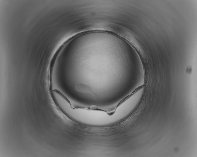X0000097831132200803141139