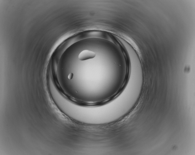 X0000097831138200803141139