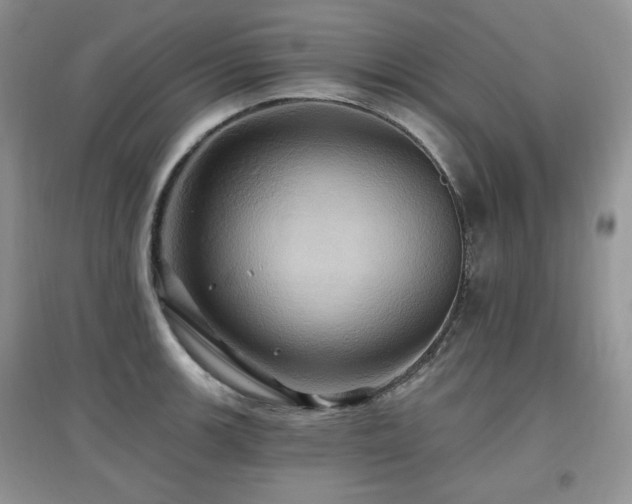 X0000097831139200803141139