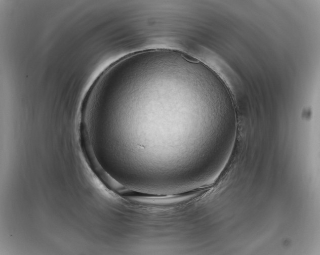 X0000097831140200803141139
