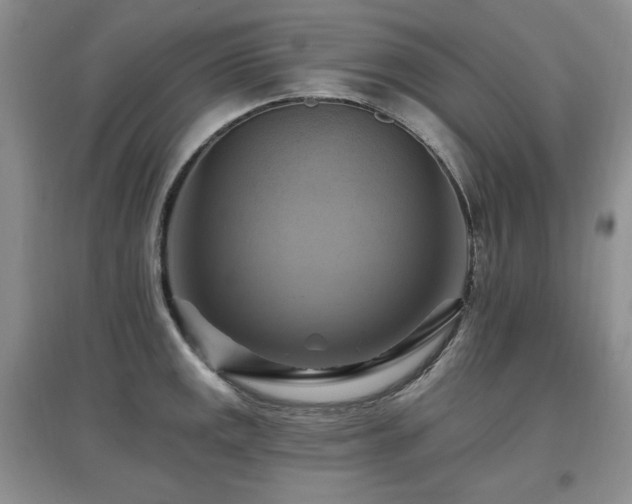 X0000097831141200803141139