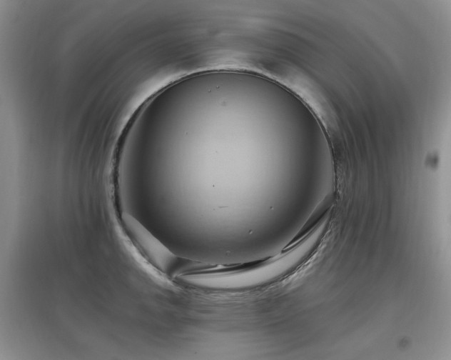 X0000097831142200803141139