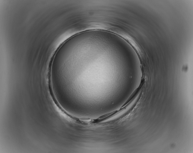 X0000097831143200803141139