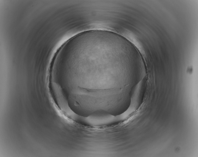 X0000097831144200803141139