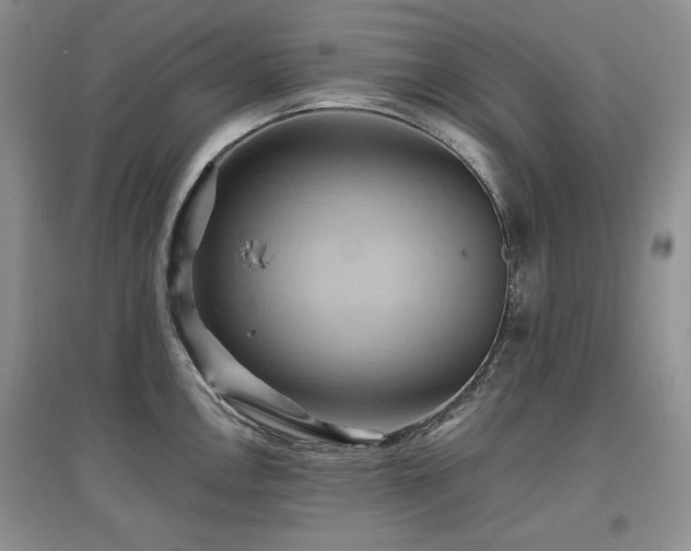 X0000097831146200803141139