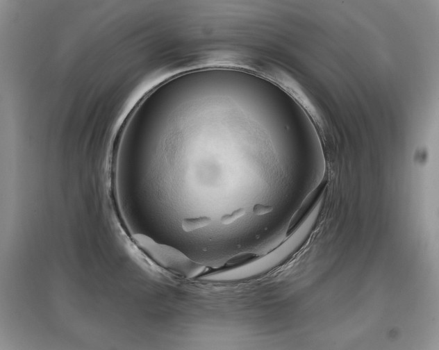 X0000097831148200803141139
