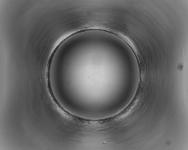 X0000097831149200803141139