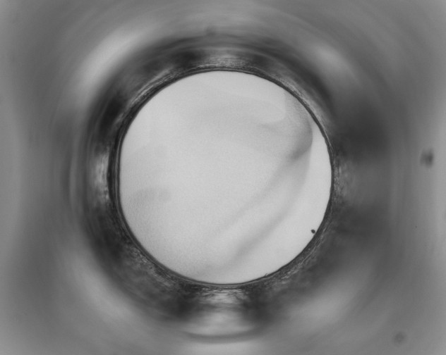 X0000097831150200803141139
