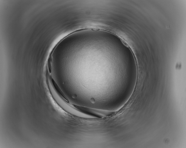 X0000097831152200803141139