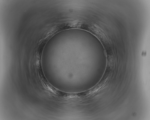 X0000097831154200803141139