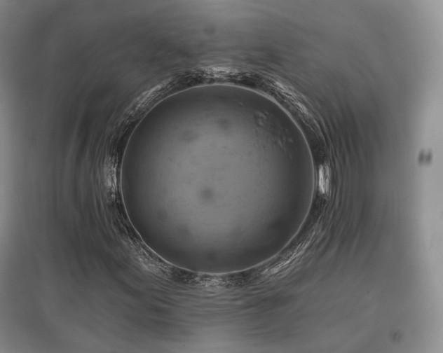X0000097831155200803141139