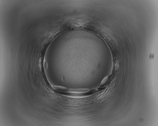 X0000097831156200803141139