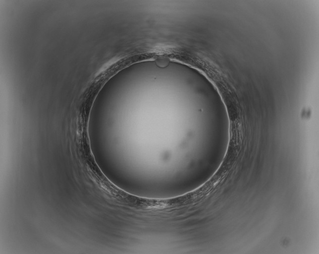 X0000097831158200803141139