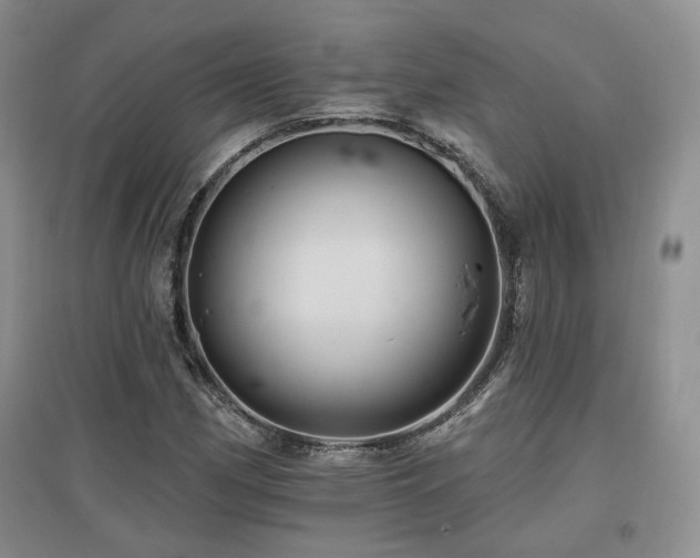 X0000097831162200803141139